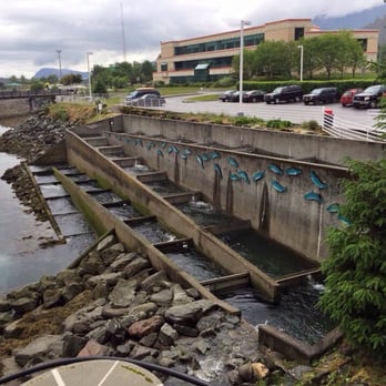 DIPAC/Macaulay Salmon Hatchery - Tours Near Me - Juneau, Alaska DIPAC/Macaulay Salmon Hatchery - Tours Near Me - Juneau, Alaska