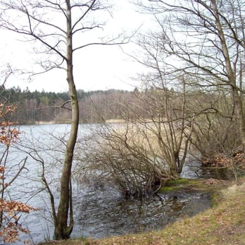 Großensee - Amateur Sports Teams Near Me