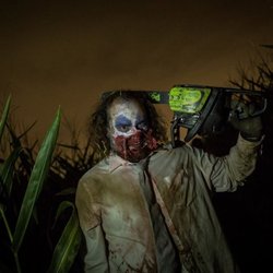 Haunted Field of Screams