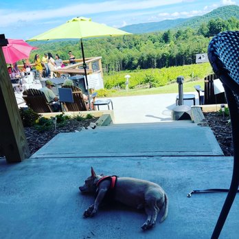 Ott Vineyards And Winery - Wine Tasting Room Near Me - Ellijay, Georgia Ott Vineyards And Winery - Wine Tasting Room Near Me - Ellijay, Georgia