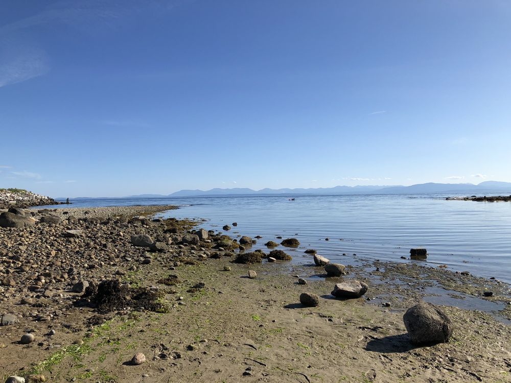 ROBERTS CREEK REGIONAL PARK Updated July 2024 21 Photos 1000