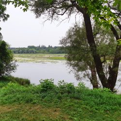 Ellacott Lookout - View