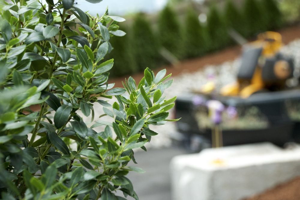 JMF Landscaping - tree service in Holbrook, MA