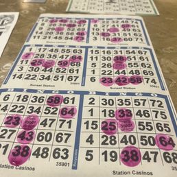 Bingo! Bingo!