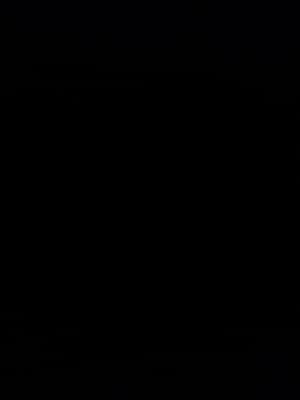 Bamboo Sushi by null