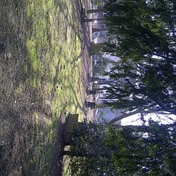 Gervinuspark