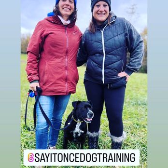 Say It Once Dog Training - Pet Training Near Me - New Kensington, Pennsylvania Say It Once Dog Training - Pet Training Near Me - New Kensington, Pennsylvania
