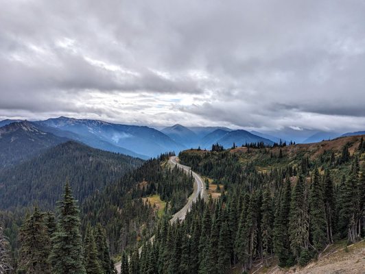 Hurricane Ridge by null
