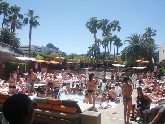 Bare Pool Lounge by null