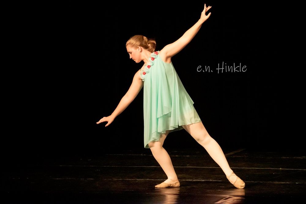 Arts International Conservatory and Dojo - social services organization in Lexington, SC