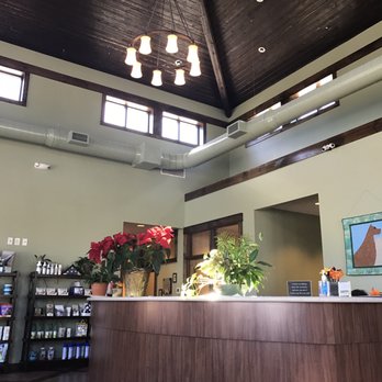 Leland Veterinary Clinic - Reception desk in the waiting area. - Veterinarians Near Me - Mableton, Georgia