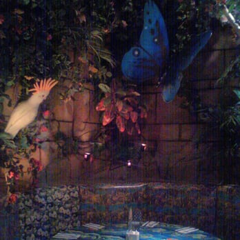 Rainforest Cafe - Bird and butterfly on the third floor. - American Near Me - San Antonio, Texas
