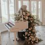 Jeremy Weinglass - Pianist