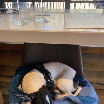 The Wine Finch - Wine Bars Near Me - Idyllwild, California The Wine Finch - Wine Bars Near Me - Idyllwild, California