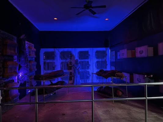 Six Flags Great America by null