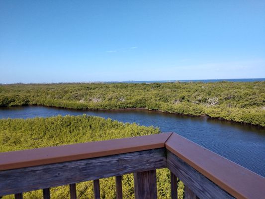 Robinson Preserve by null