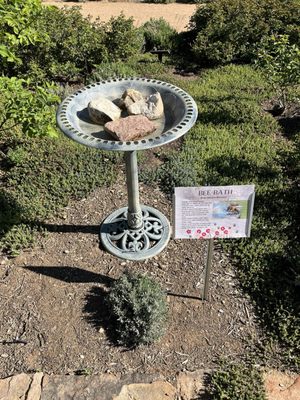 Santa Fe Botanical Garden by null