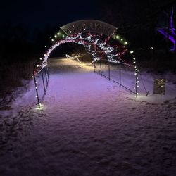 W W Knight Nature Preserve - Wild Lights Event