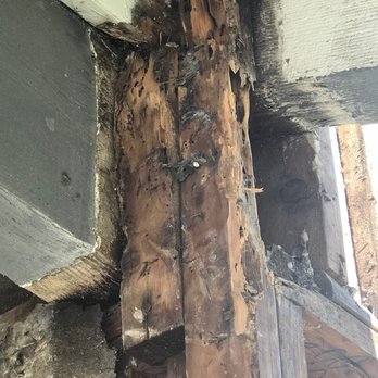 Seashore - This was replaced! - Pest Control Near Me - Fountain Valley, California Seashore - This was replaced! - Pest Control Near Me - Fountain Valley, California