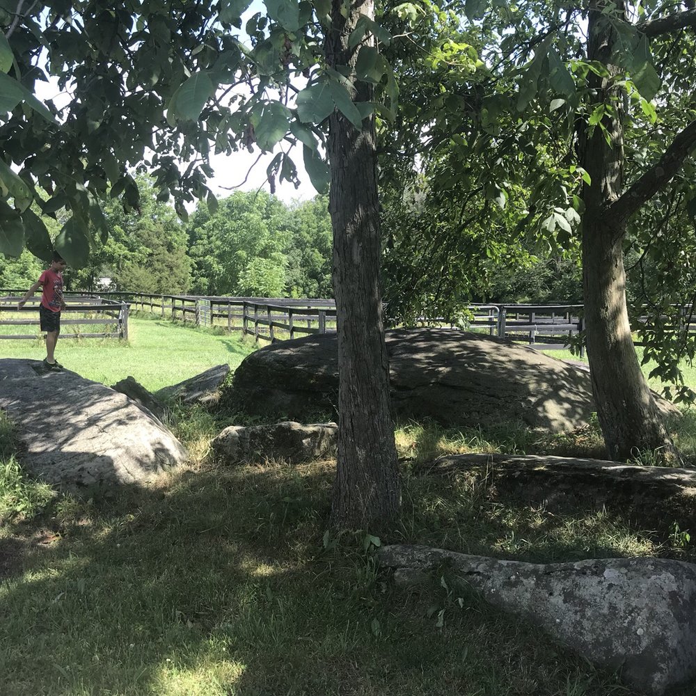 Artillery Ridge Campground - Behind our campsite fun spot for the kids to play - Horseback Riding Near Me - Gettysburg, Pennsylvania Artillery Ridge Campground - Behind our campsite fun spot for the kids to play - Horseback Riding Near Me - Gettysburg, Pennsylvania