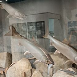 Platte River State Fish Hatchery