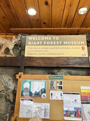Giant Forest Museum by null