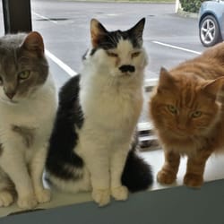Battery Creek Veterinary Hospital