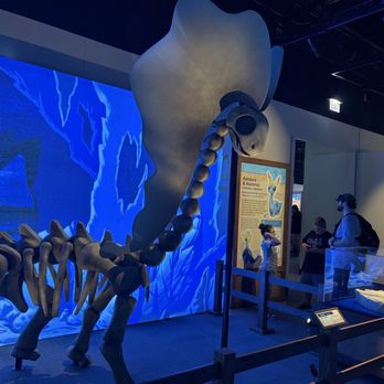 Field Museum - Museums Near Me - Chicago, Illinois