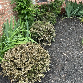 Merrifield Garden Center - Nurseries & Gardening Near Me - Merrifield, Virginia