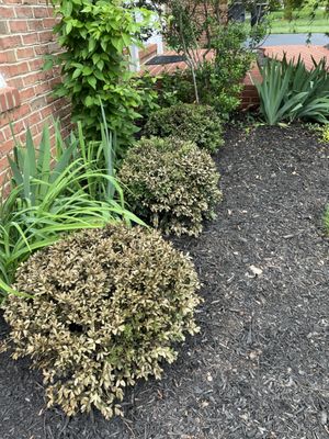 Merrifield Garden Center by null