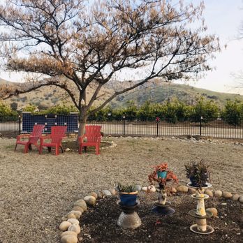 Main Squeeze Market - Beautiful back patio area with lots of seating. It's also dog friendly! - Farmers Market Near Me - Lemon Cove, California