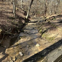Big Trees Forest Preserve - The creek running through the reserve