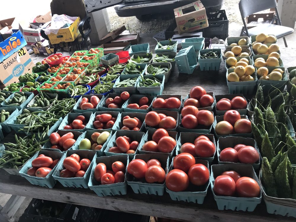 BARGAIN HOUSE OF FLEAS 6016 Blanding Blvd, Jacksonville, FL Yelp