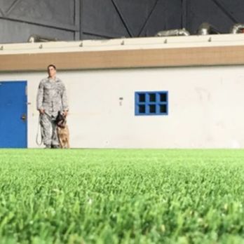New England Turf Store - Because we all love our vets - Artificial Turf Near Me - Canton, Massachusetts New England Turf Store - Because we all love our vets - Artificial Turf Near Me - Canton, Massachusetts