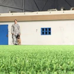 New England Turf Store - Because we all love our vets