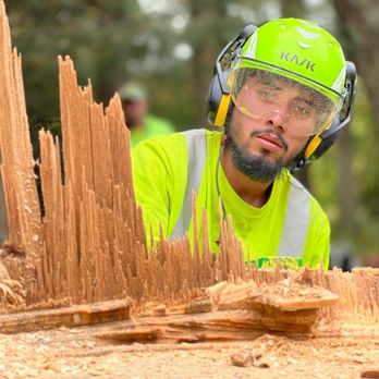 Rana Tree Removal - Armando posing for the camera - Tree Services Near Me Rana Tree Removal - Armando posing for the camera - Tree Services Near Me