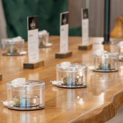 Local Cannabis - Close-up of Local Cannabis Co.'s sensory bar displaying cannabis in clear jars and informational cards.