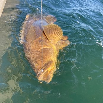 Ms. B. Haven Fishing & Eco Charters - 200 lb Goliath grouper - Fishing Near Me - Naples, Florida Ms. B. Haven Fishing & Eco Charters - 200 lb Goliath grouper - Fishing Near Me - Naples, Florida