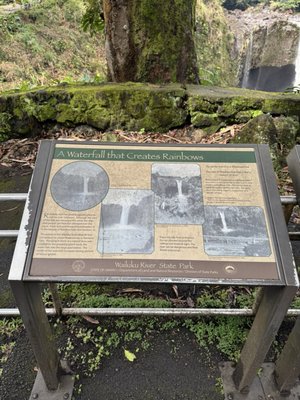 Rainbow Falls by null