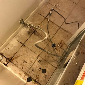 Yeya’s Cleaning Services - behind The Stove - Home Cleaning Near Me - Austin, Texas