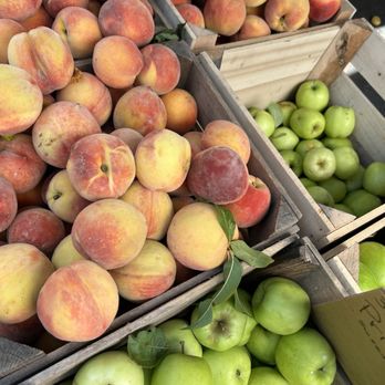 Union Square Greenmarket - Farmers Market Near Me - New York, New York Union Square Greenmarket - Farmers Market Near Me - New York, New York