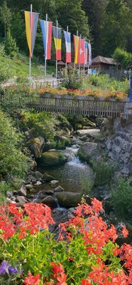 Triberg Waterfalls by null