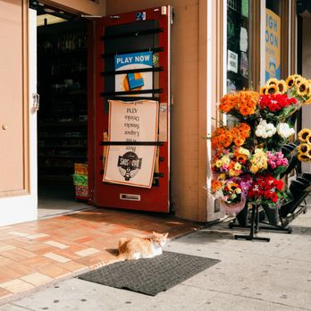 Dad & Sons Market - orange guardian at the entrance - Convenience Stores Near Me - San Francisco, California Dad & Sons Market - orange guardian at the entrance - Convenience Stores Near Me - San Francisco, California