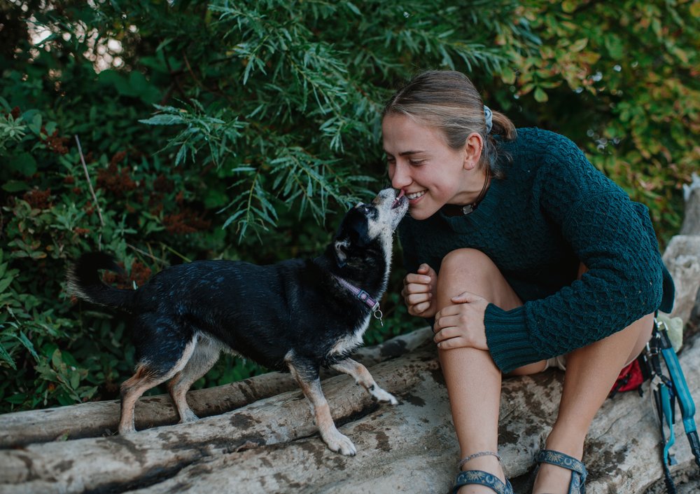 Enriching Enzo - pet boarding facility in Portland, OR