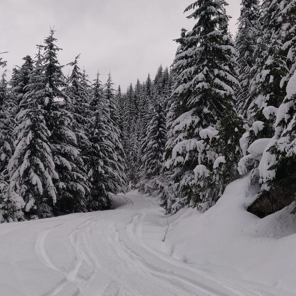The Last Resort - Vacation Rentals Near Me - Ronald, Washington The Last Resort - Vacation Rentals Near Me - Ronald, Washington