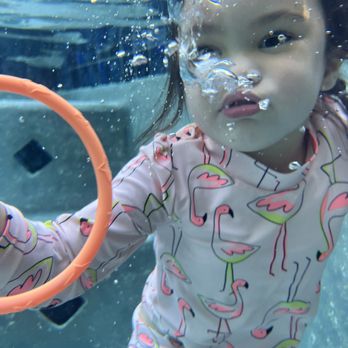 Swim Coach Rasha - Swimming Lessons/Schools Near Me - Reseda, California Swim Coach Rasha - Swimming Lessons/Schools Near Me - Reseda, California