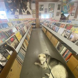 Dog friendly :) Dog friendly :)
