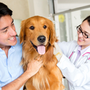Photo of Clark County Veterinary Clinic