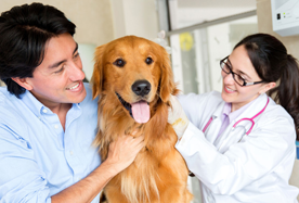 Clark County Veterinary Clinic - pet boarding facility in Winchester, KY