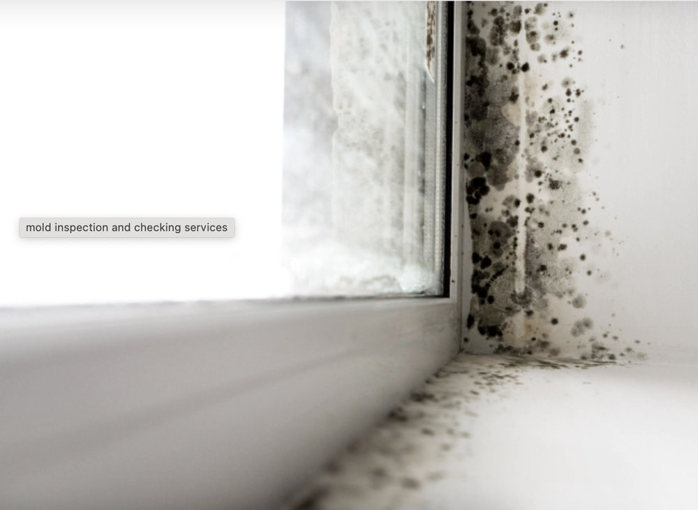 Pure Maintenance of Boise - mold inspector in Meridian, ID